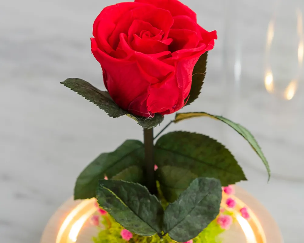 Rose éternelle sous cloche lumineuse avec carte personnalisée|Cadeaux.com Hot