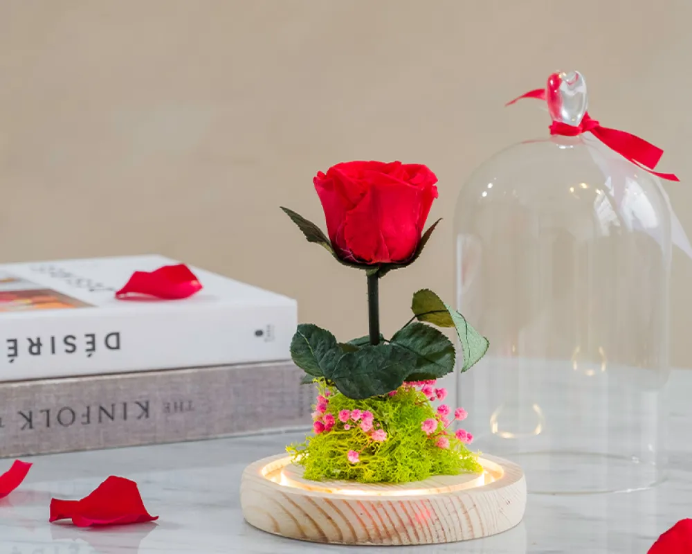 Rose éternelle sous cloche lumineuse avec carte personnalisée|Cadeaux.com Hot