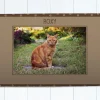 Tapis pour chat - Photo|Cadeaux.com Discount